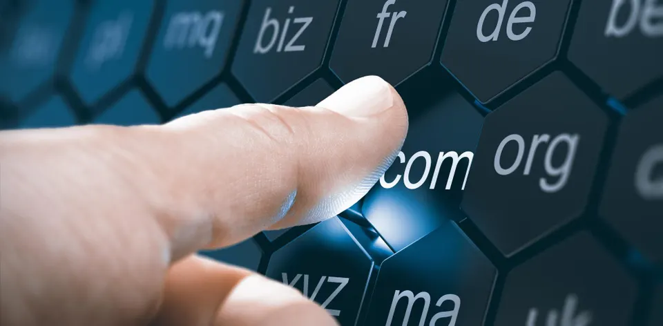 Domain Registration